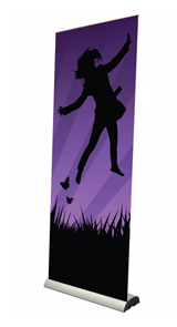 Excaliber roller banner